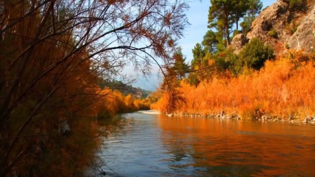 Asırlık Çınarların Altında Masal Diyarı: Adana'da 'Zamanın Durduğu Yer' 8
